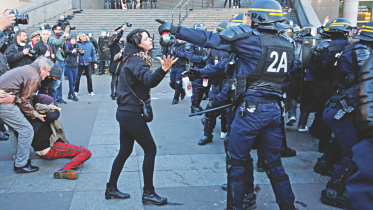 french poll 1.jpg