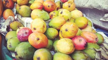 fruite1.jpg