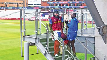 gayle.jpg
