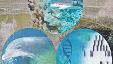 genetic resources
