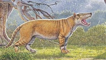 giant lion.jpg