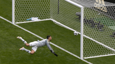 Goalline_Tech.gif