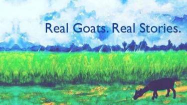 Goats-of-BangladeshWB.jpg