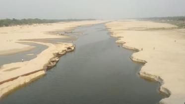 Gorai-web.jpg