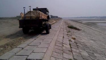 Gorai