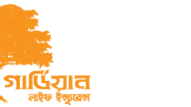 Guardian Logo.png