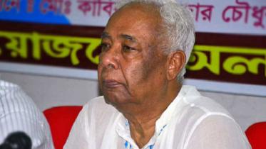 hannanshah.jpg