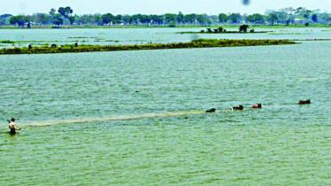 haor basin