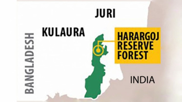 Harargoj-Reserve-Forest.jpg