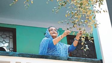 Hasina A Daughter's Tale