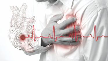 heart.jpg