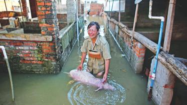 Heavy rain in China.jpg