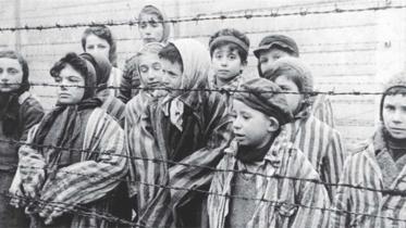History Teaches Us Nothing