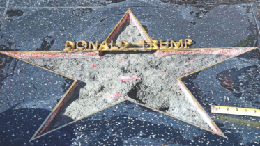 Hollywood Walk.jpg