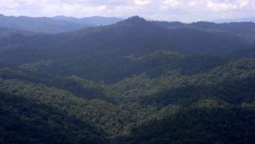 Honduras-1WB.jpg