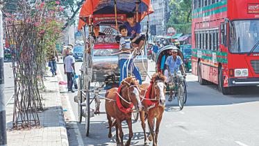horse-drawn carriages 1.jpg