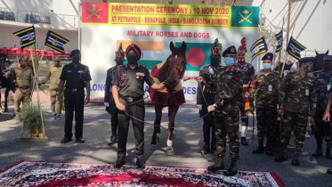 horse-web.jpg