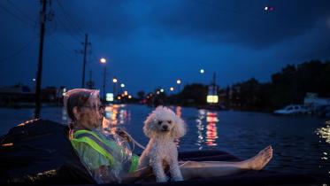 Houston-web.jpg