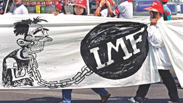 IMF.jpg