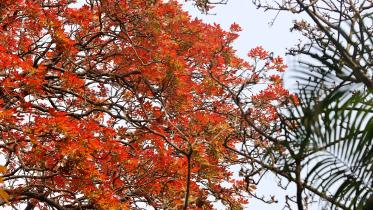 IMG_1115.jpg