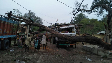 India-21.jpg