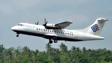 Indo plane_AP.jpg