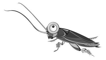 insect.jpg