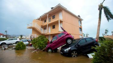 Irma-wb.jpg