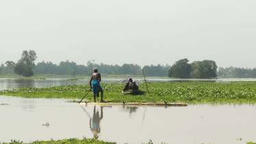 Jamuna-river-1.jpg