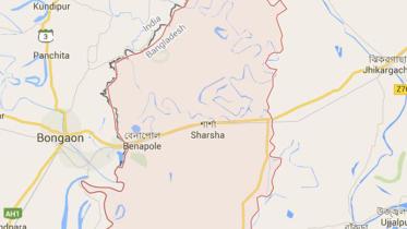 zebras rescued in Jessore
