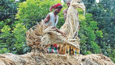 jute 1.jpg