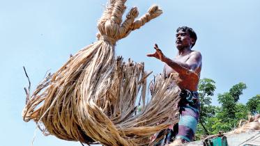 jute 1.jpg
