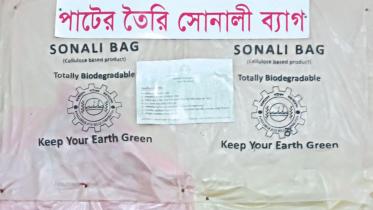 Sonali Bags