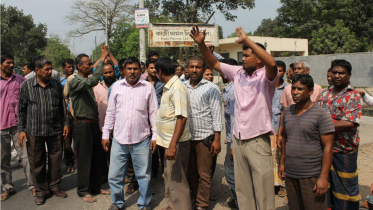 kazi farm agitators.jpg