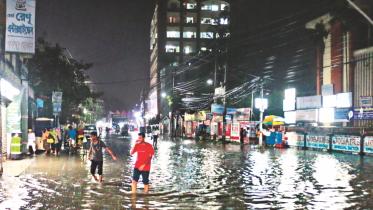 KDA Avenue.jpg