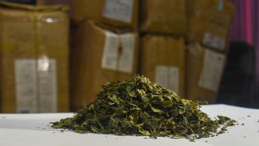 Khat-web.jpg
