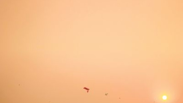 Kite