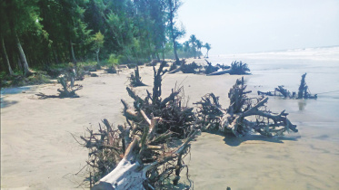 Kuakata beach.jpg