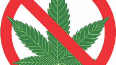 leaves.jpg