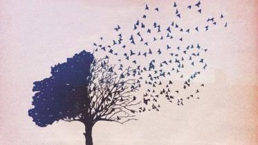 Letting go
