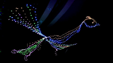 Light Puppet.jpg