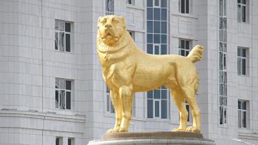 lion.jpg