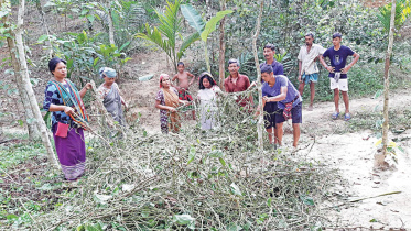 Livelihoods-iindigenous-communities.jpg
