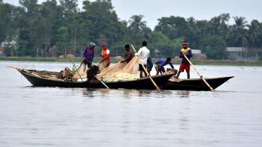Local-fish-Chalanbeel.jpg