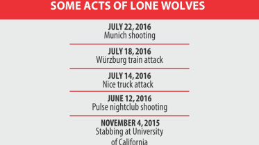 Lone Wolf Phenomenon.jpg
