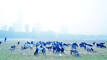 maidan1.jpg