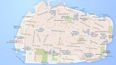 male'.JPG