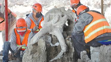 Mammoth.jpg