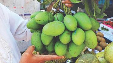 Prevent use of chemicals in fruits