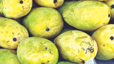mango.jpg
